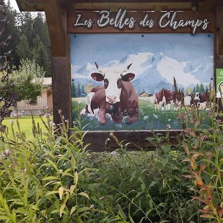 Les Belles Des Champs シャレー *
